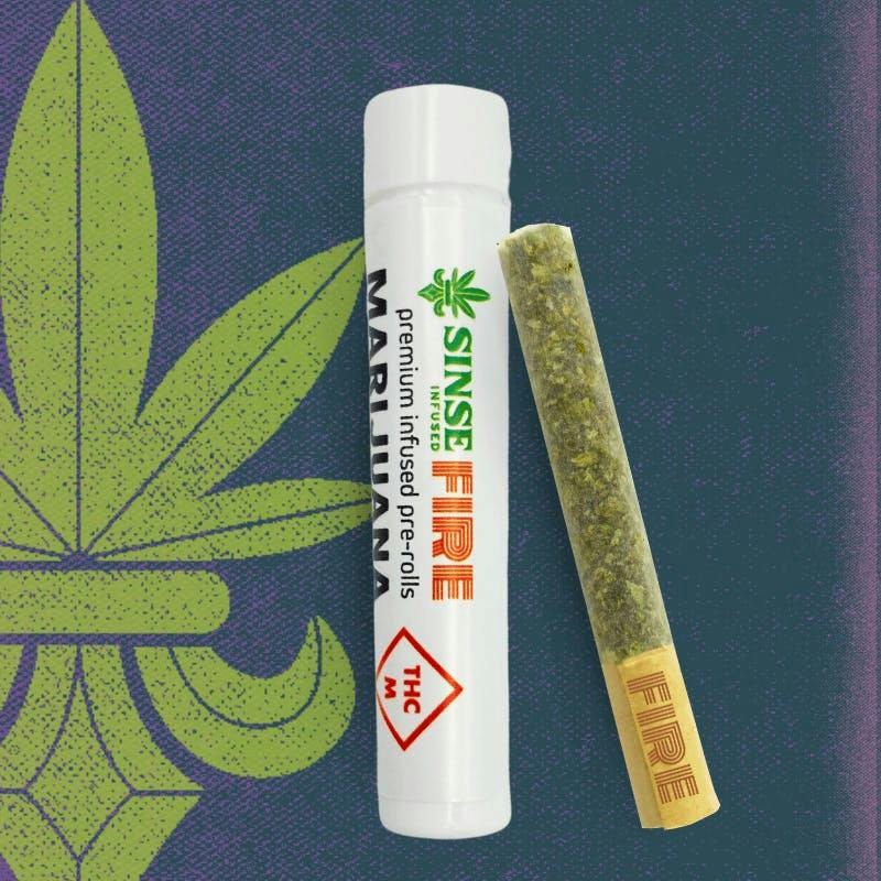 Jungle Cookie x Cap Junky