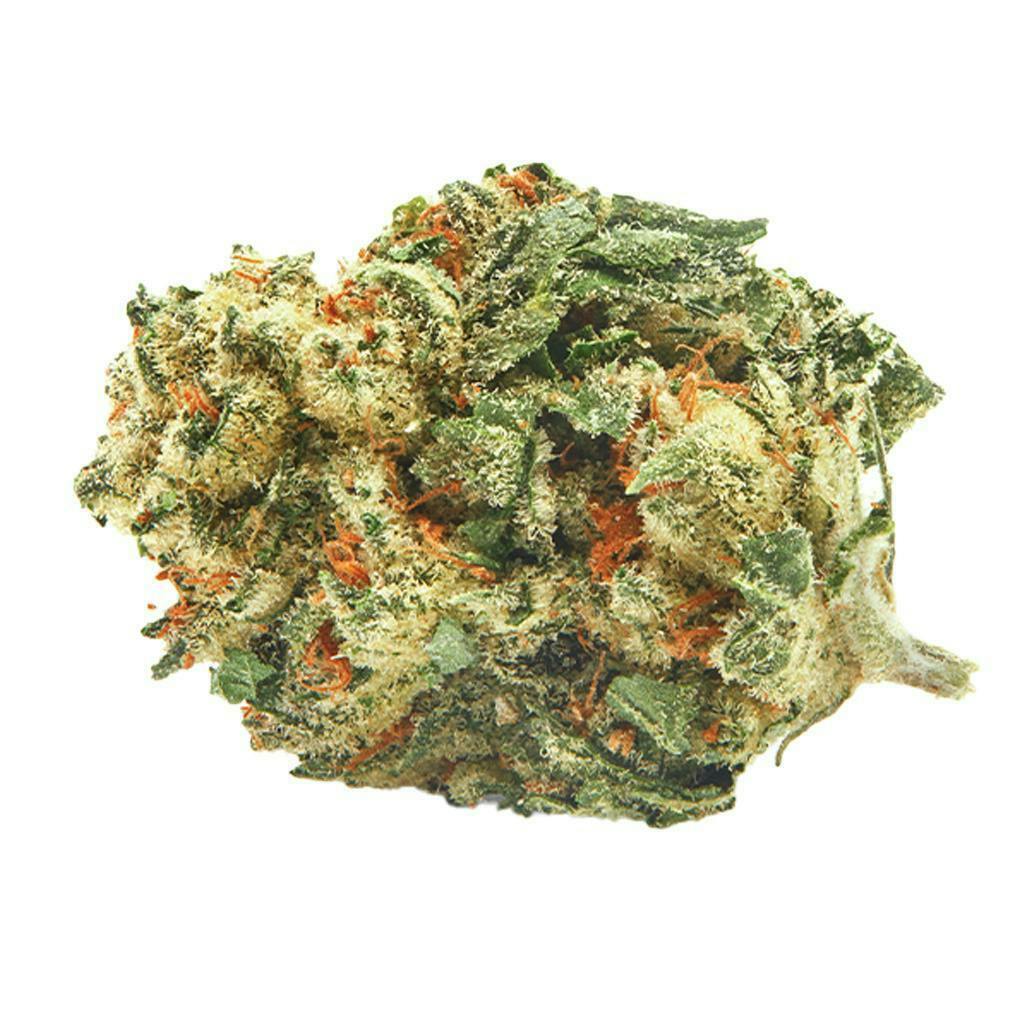 Motorbreath | Big Buds | 7g