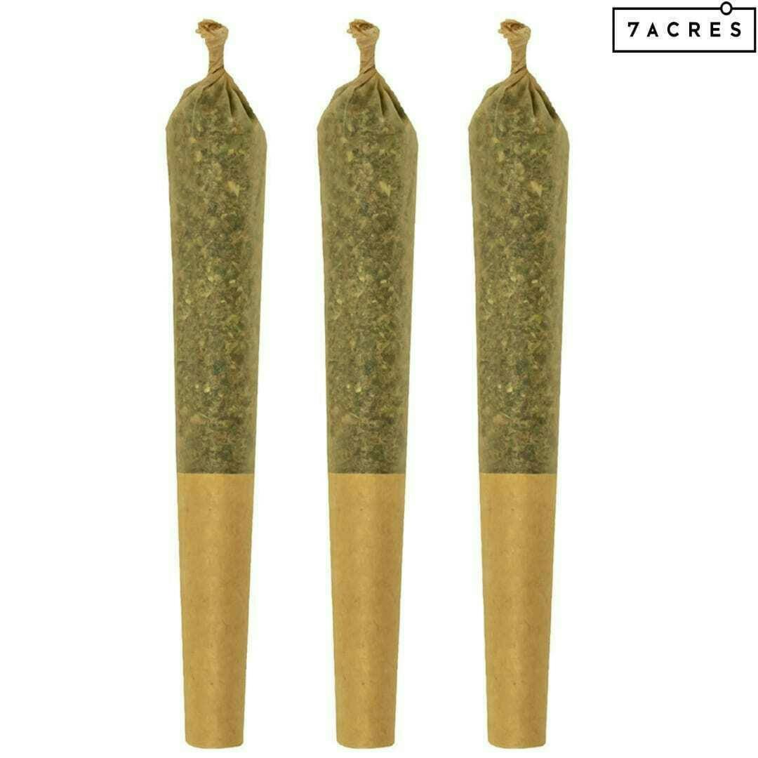 Blue Dream | Infused Minis | 0.5g each | 3pk
