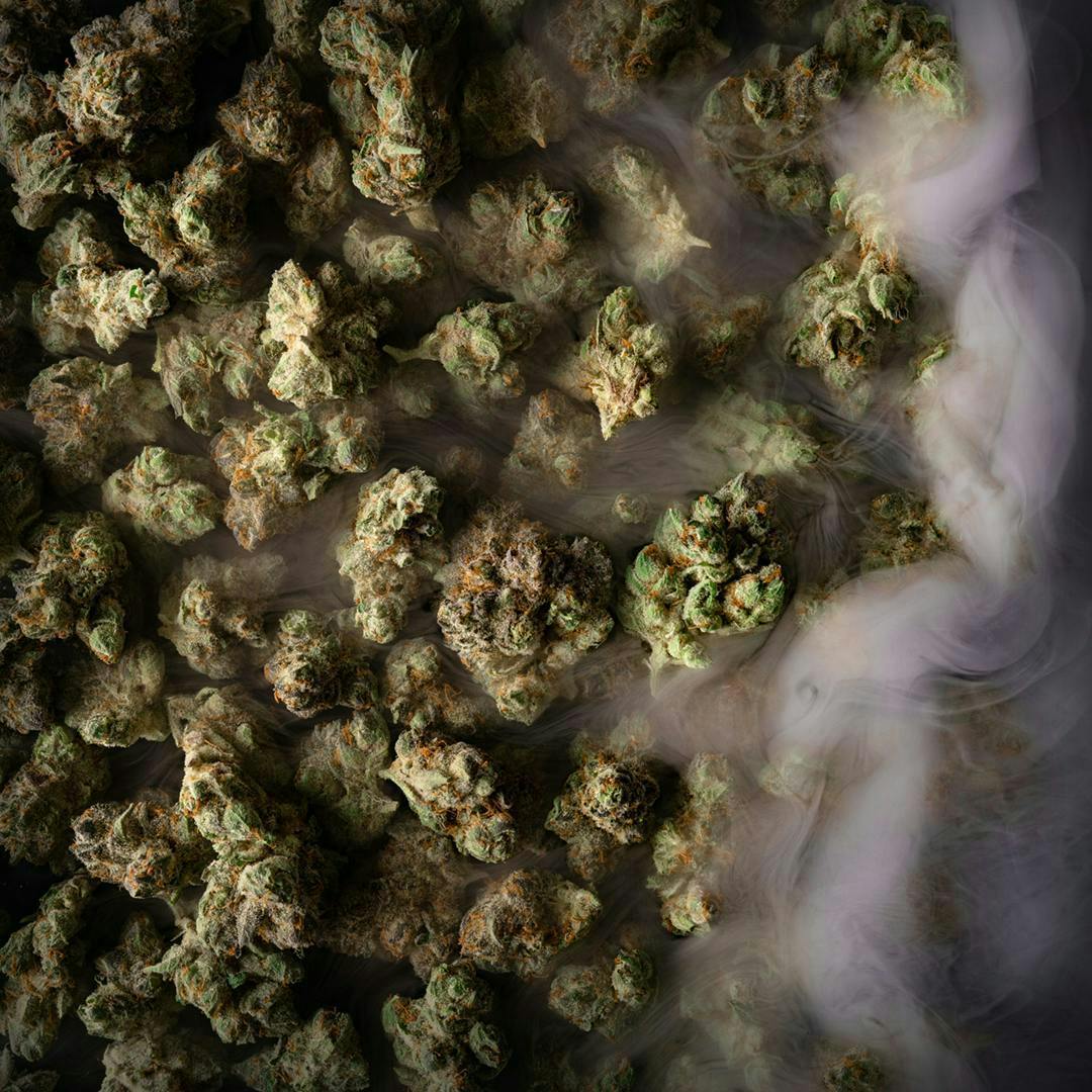 Super Boof | Flower by Natty Rems