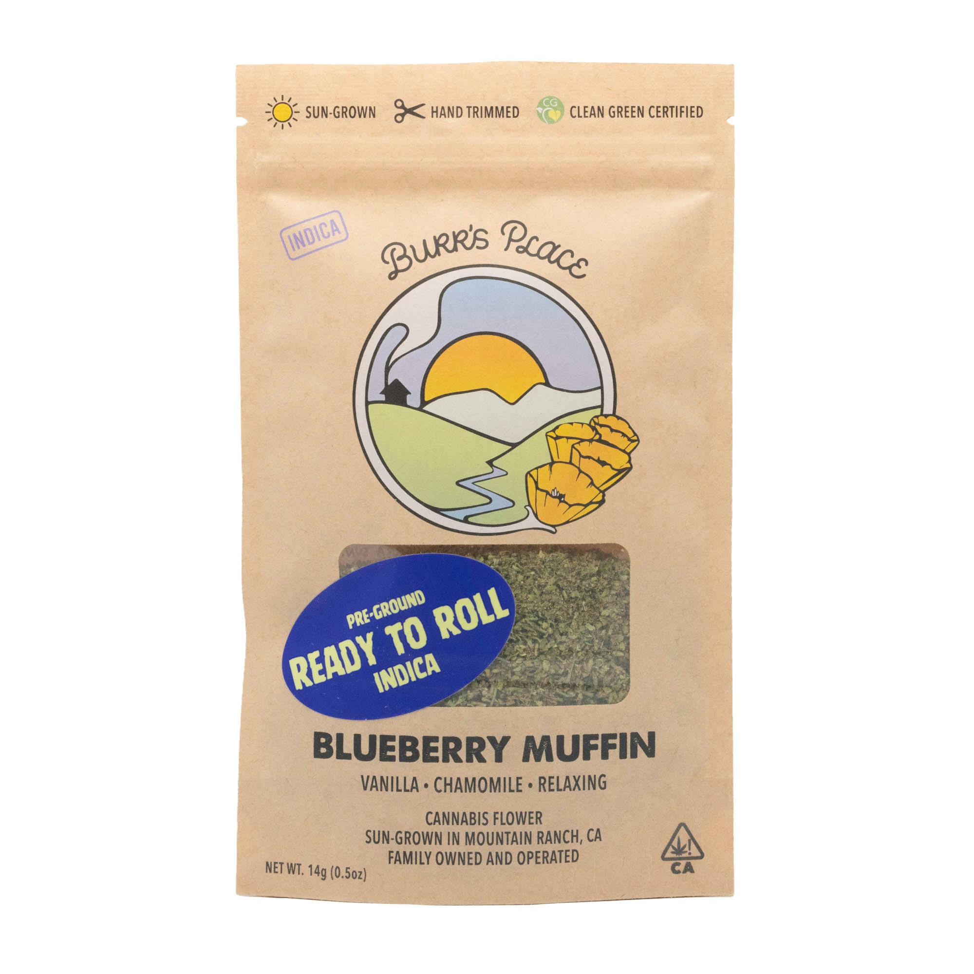 Burr's Place: Blueberry Muffin