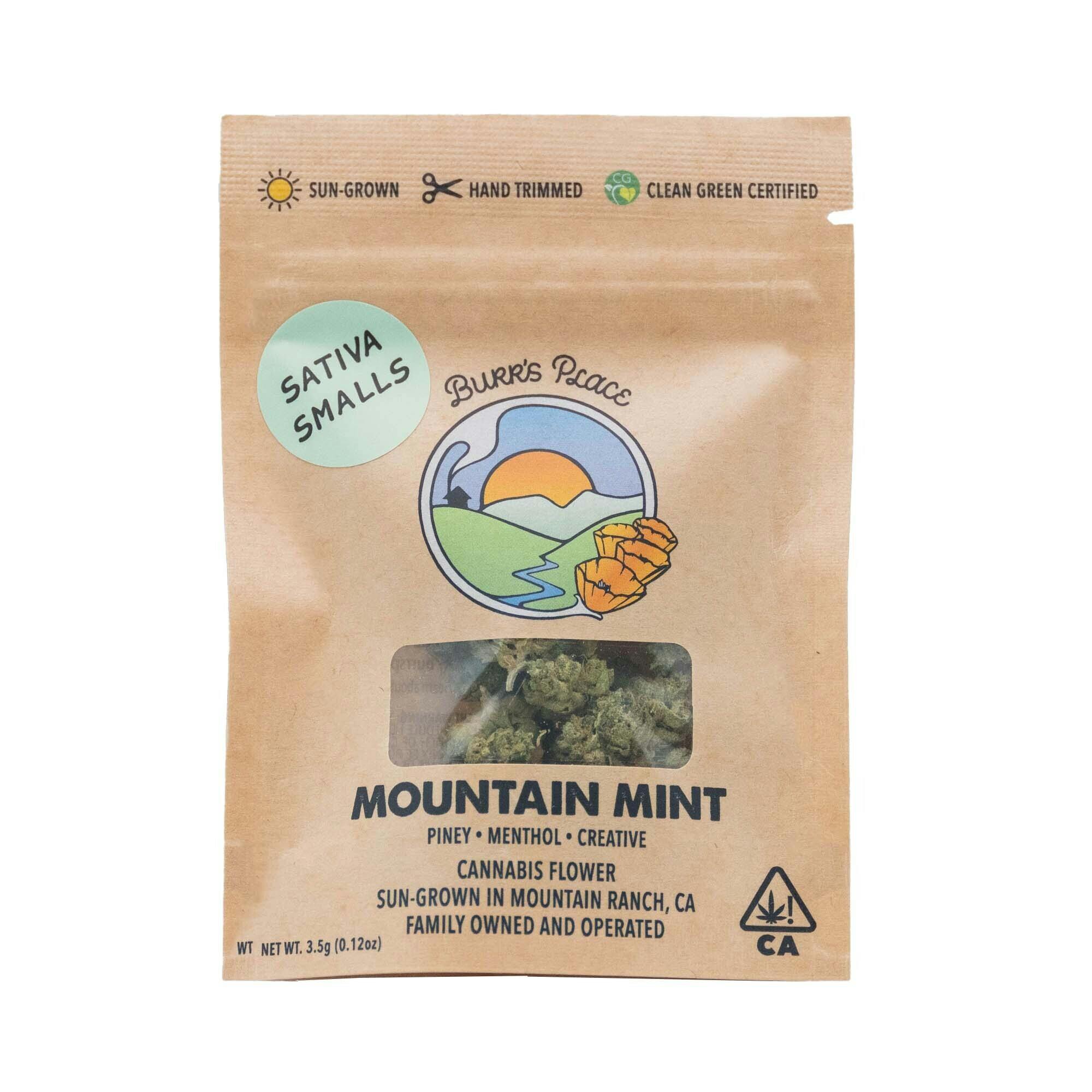 Burr's Place: Mountain Mint
