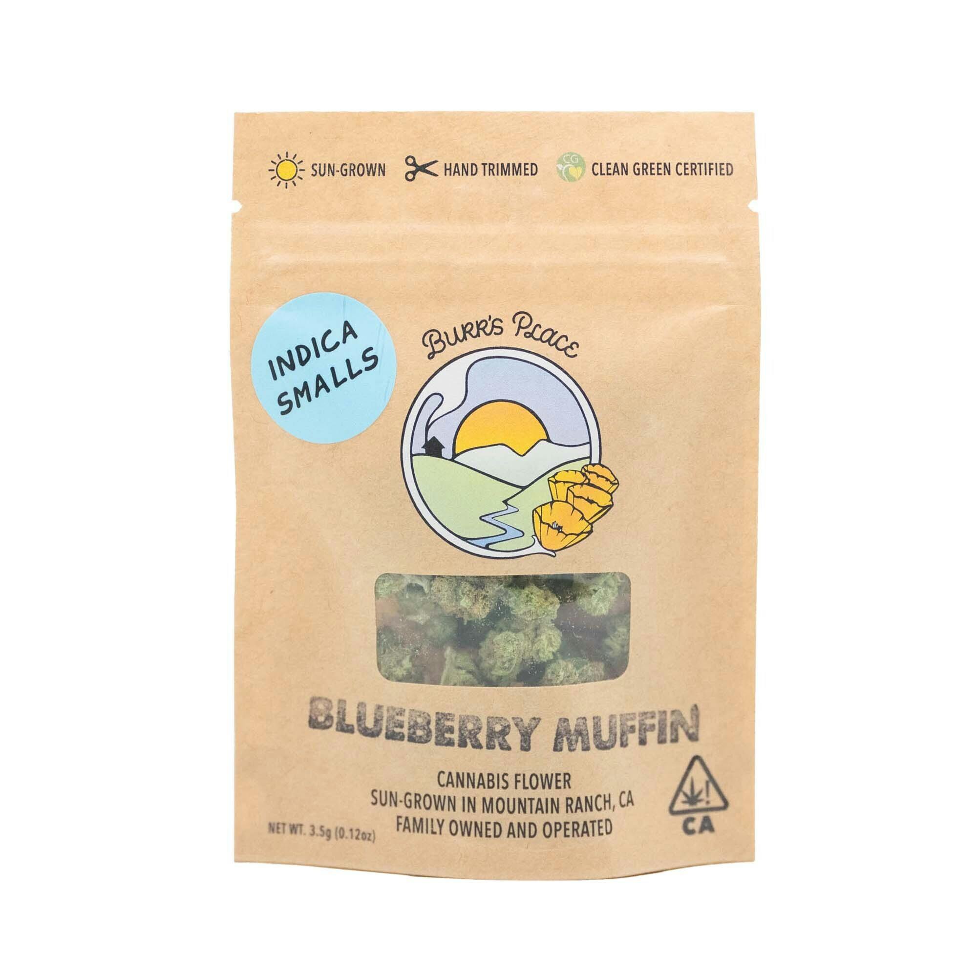 Burr's Place: Blueberry Muffin