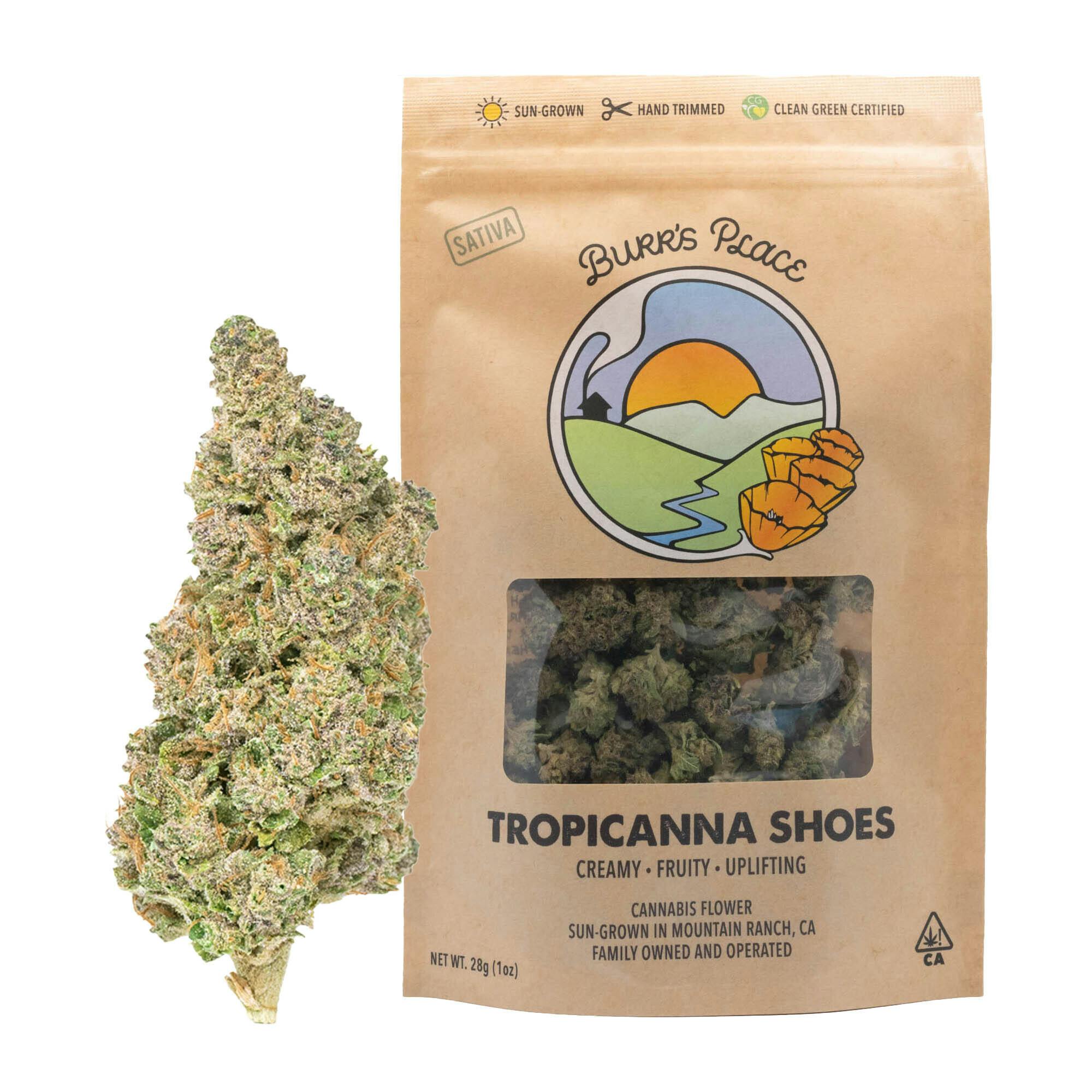 Burr's Place: Tropicanna Shoes