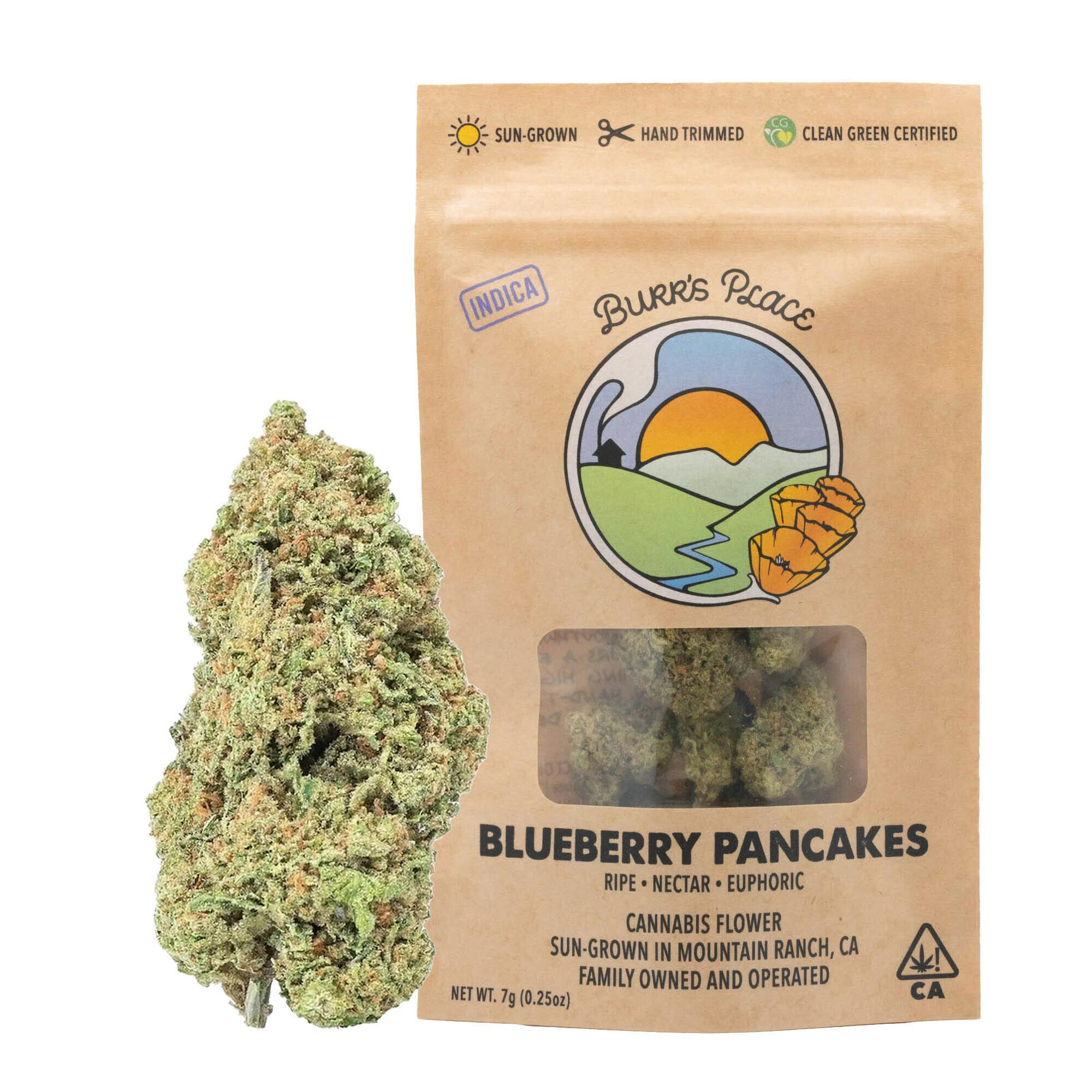Burr's Place: Blueberry Pancakes