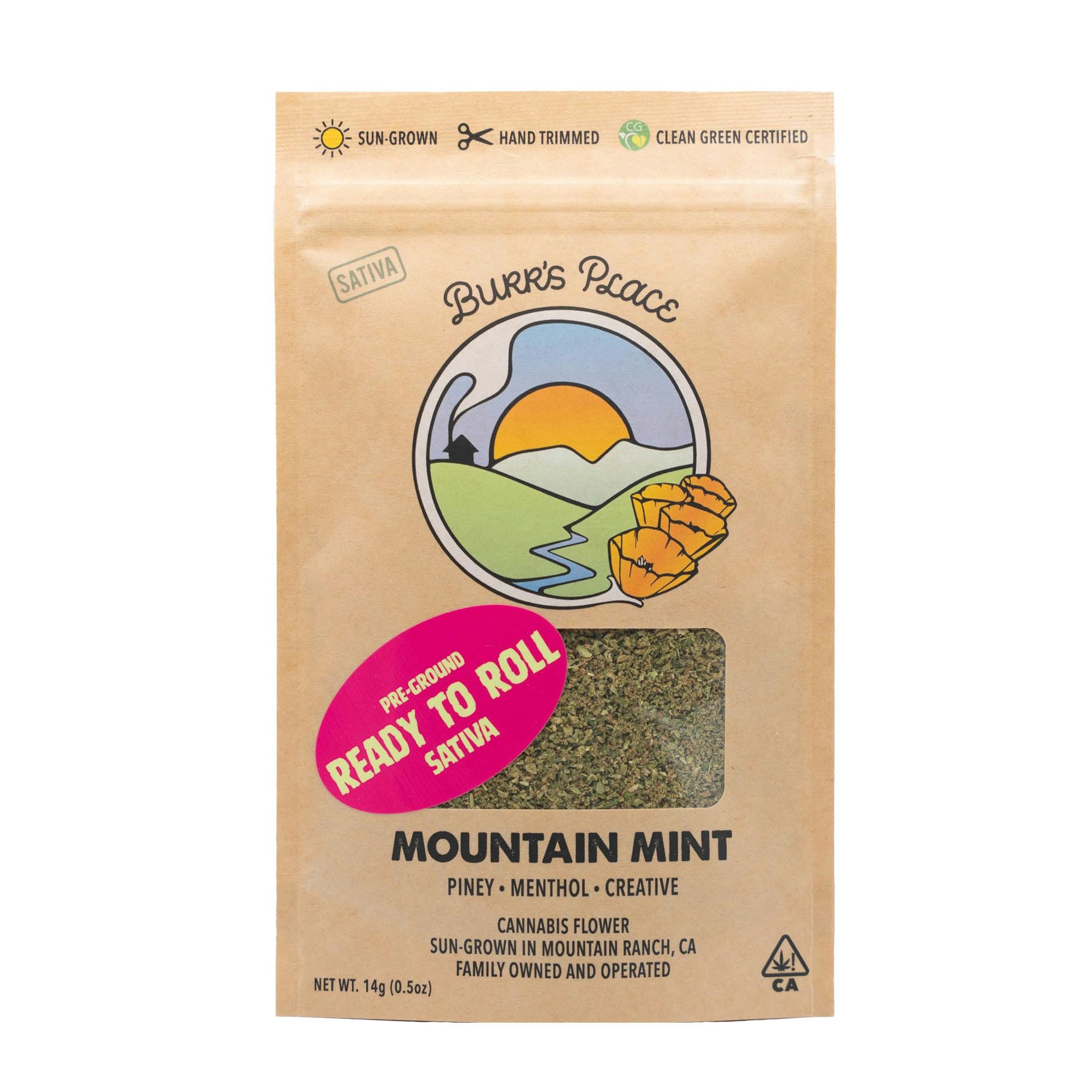 Burr's Place: Mountain Mint
