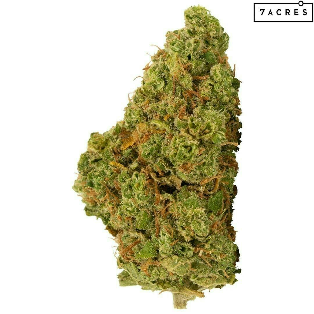 Granddaddy Purple Skunk | Big Buds | 28g