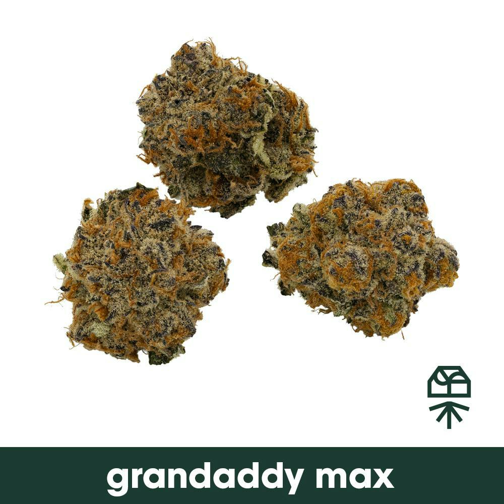 Grandaddy Max