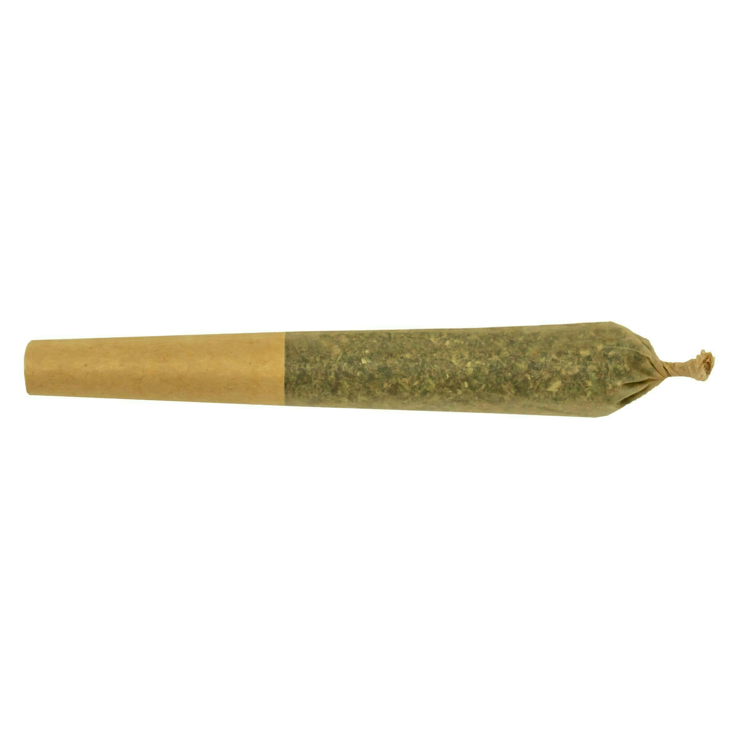 Jack Haze | Infused Minis | 0.5g each | 3pk