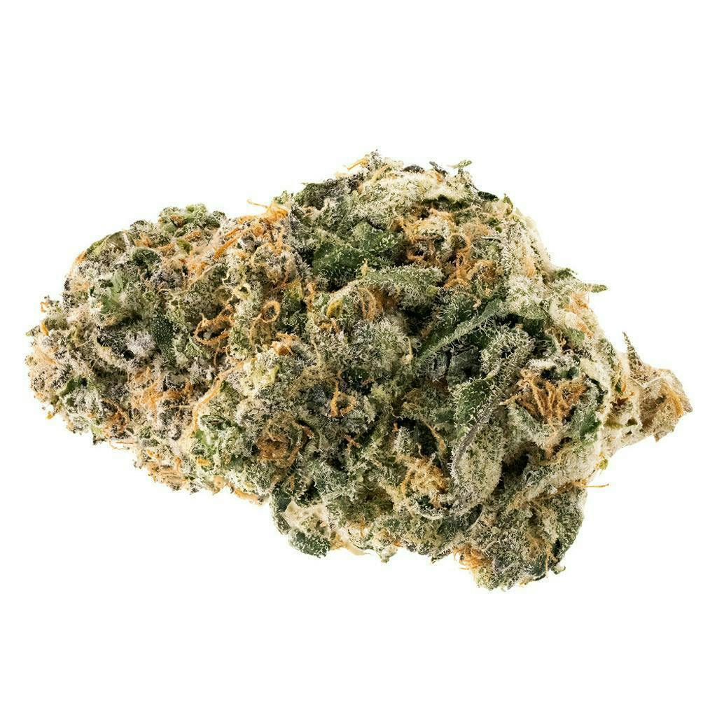 Craft Collective Orange Tingz | Big Buds | 3.5g