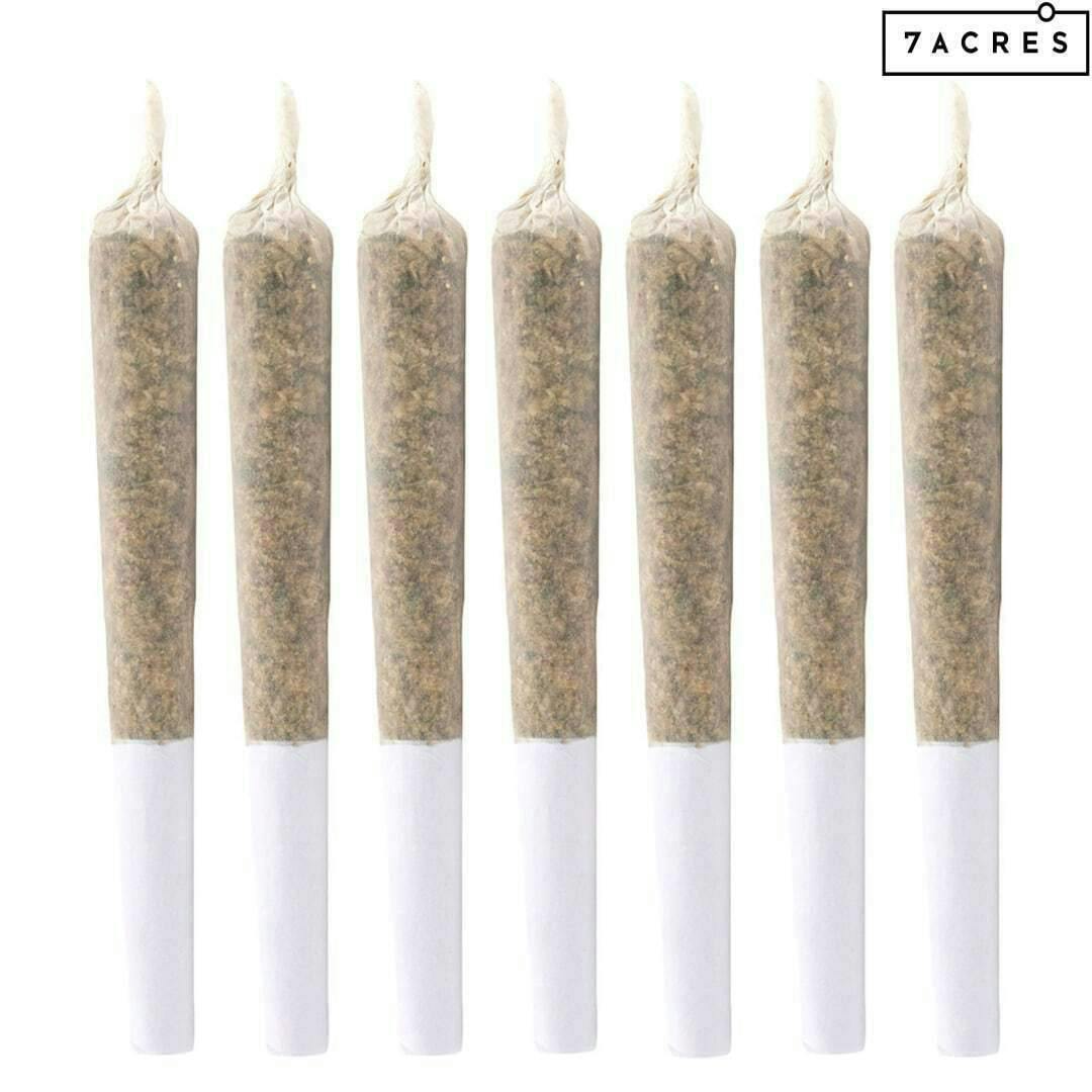 White Widow | Minis | 0.5g each | 7pk