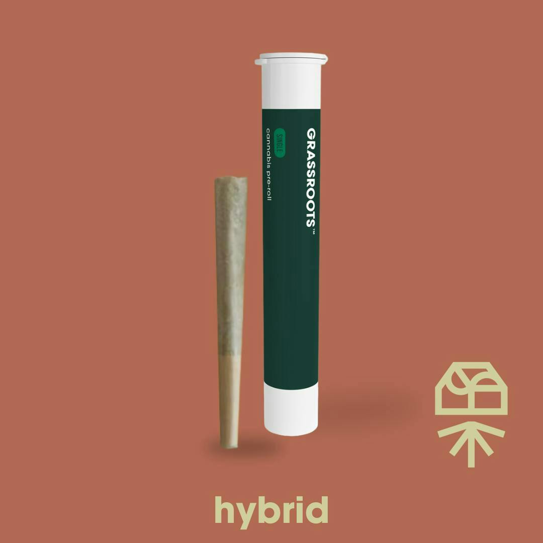 Jayna's Sunshine | Joint | 1g