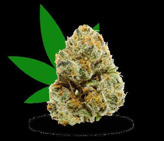 Infinity Linx | Big Buds | 7g by Strane