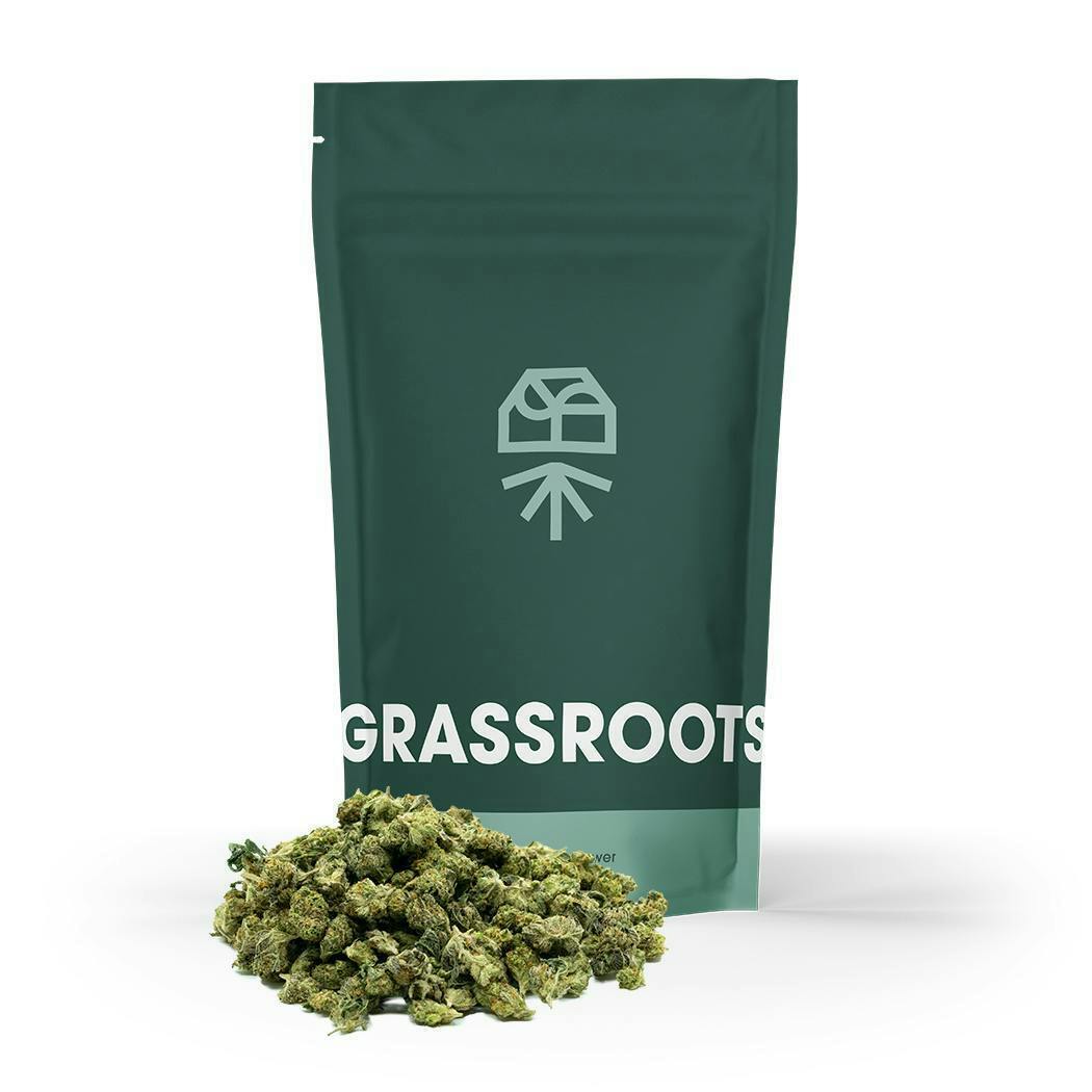 Jayna's Sunshine | Smalls | 14g by Grassroots