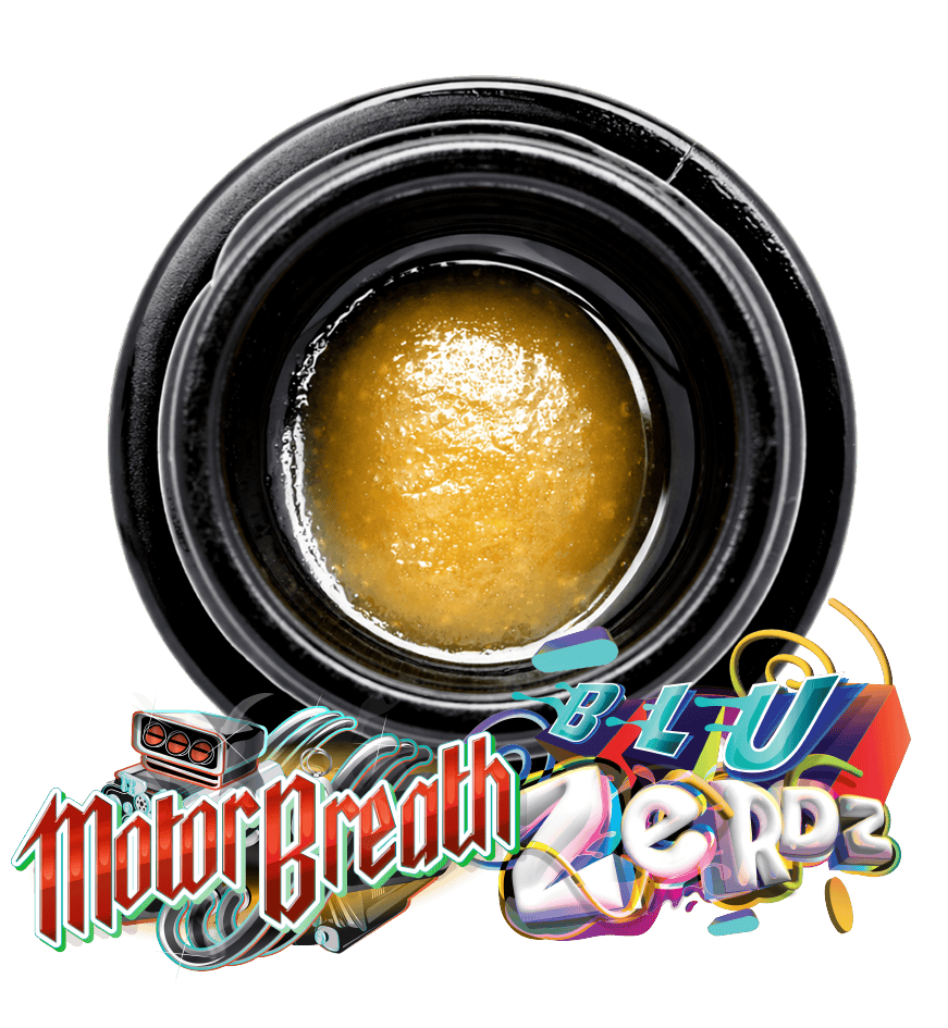 Jungle Boys — Motor Breath X Blu Zerdz - Batter