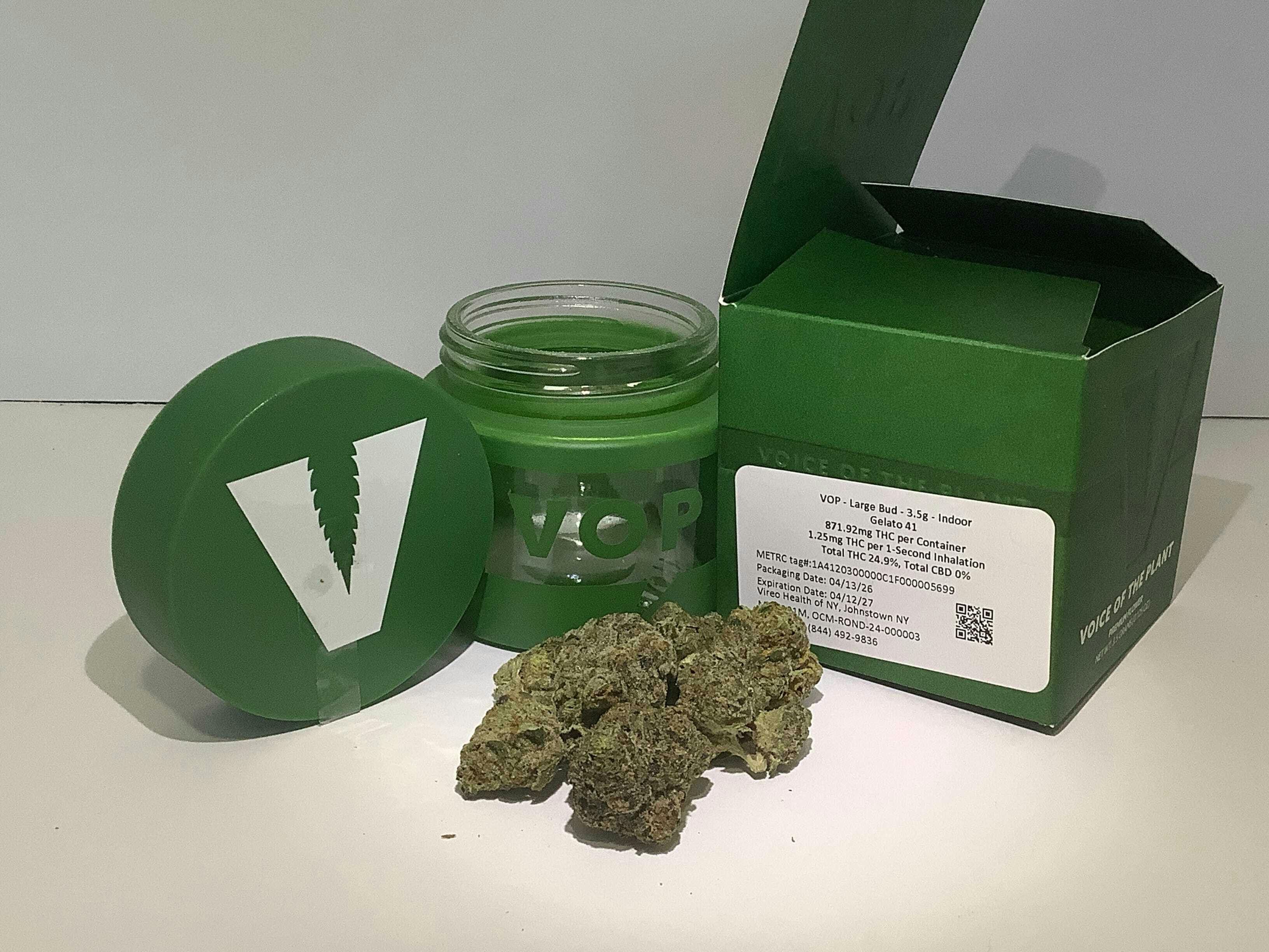 Gelato 41