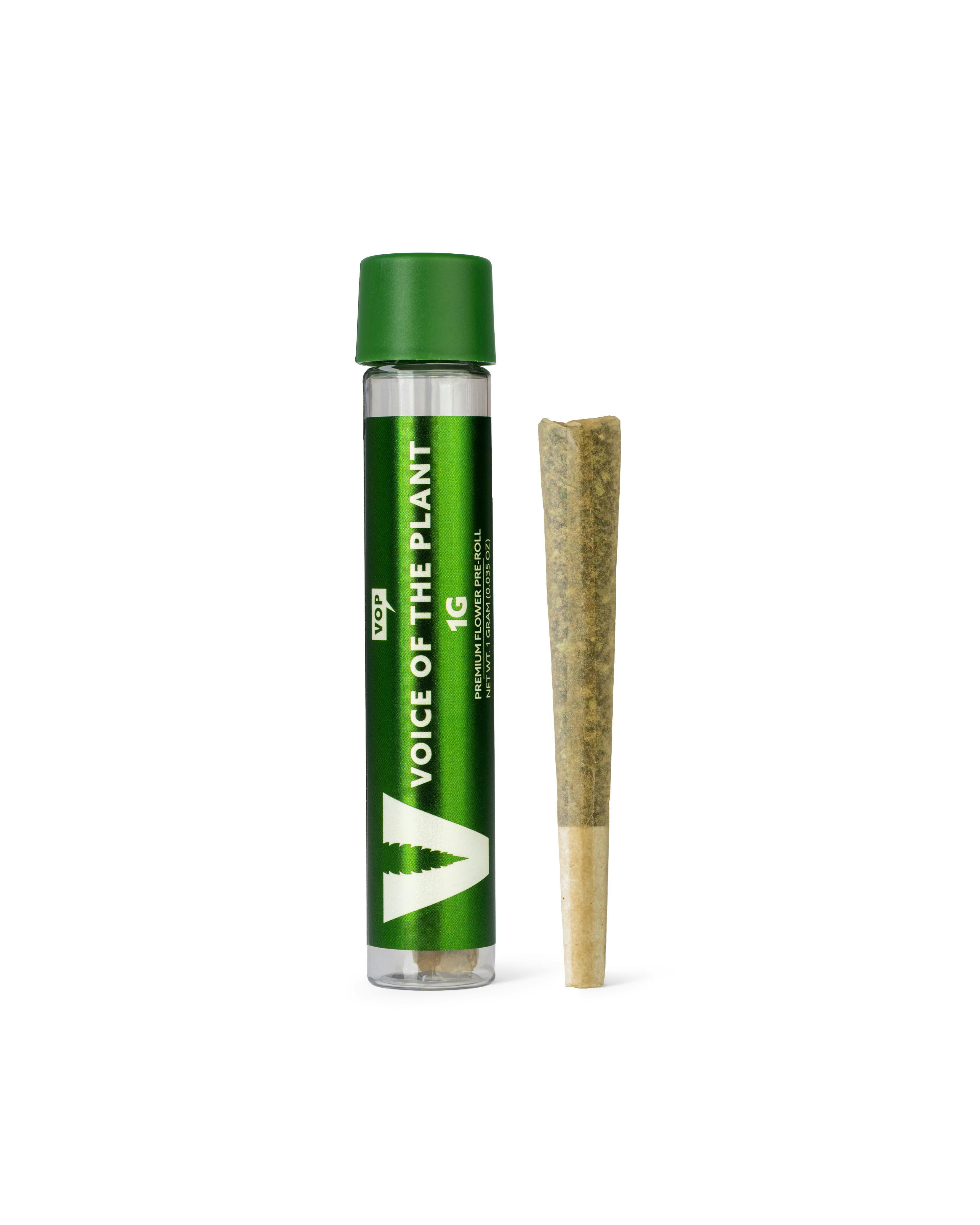 Chem Dawg x Rainbow Beltz P4 | Joints | 1g at Gotham Cannabis Dispensary