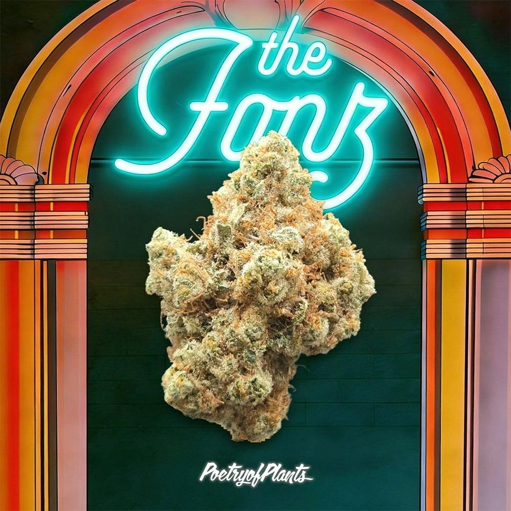 The Fonz | 3.5g at Mystic Greenz