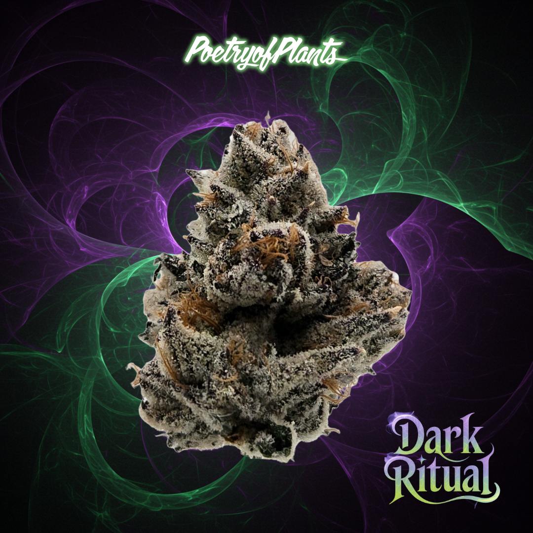 Dark Ritual | Big Buds | 3.5436g