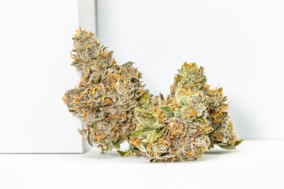 Blueberry Crumb Cake | Flower | 3.5g at Greenwave Dispensary Maryland