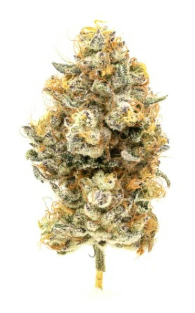 Cleopatra | Big Buds | 3.5g