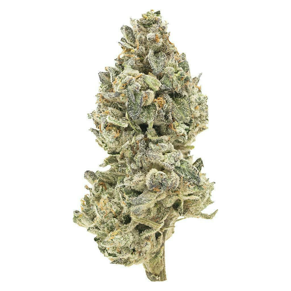 BC Organic Pineapple Sour | Big Buds | 7g
