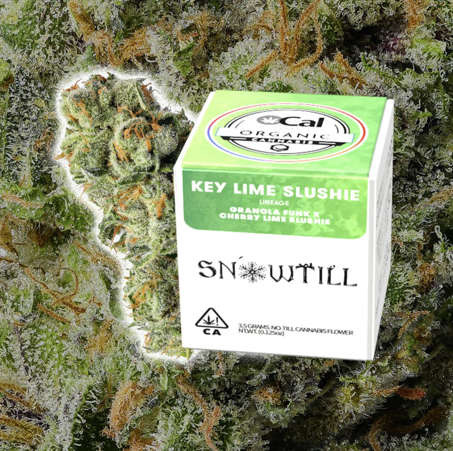 Snowtill: Keylime Slushie