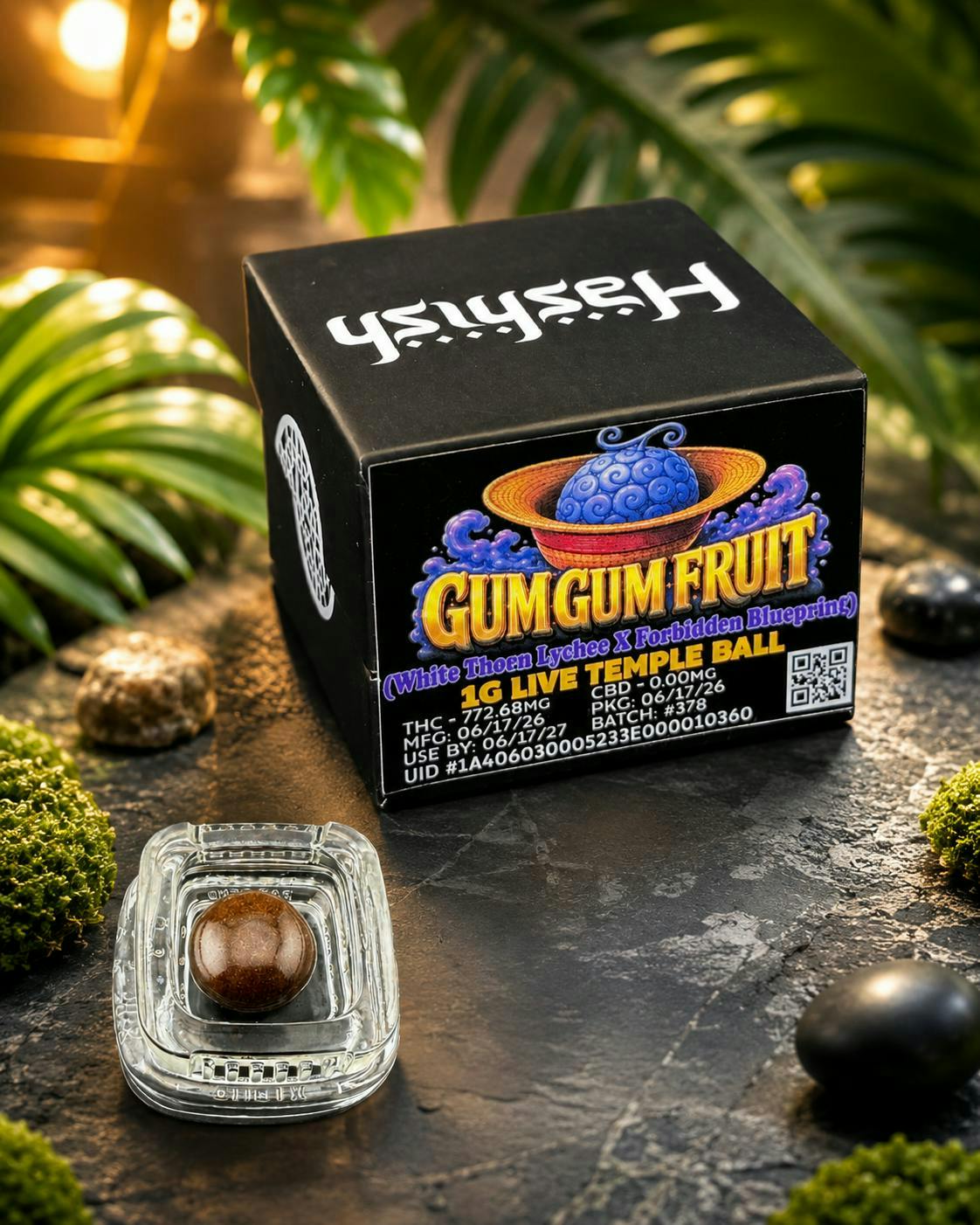 Hashish: Live Temple Ball
