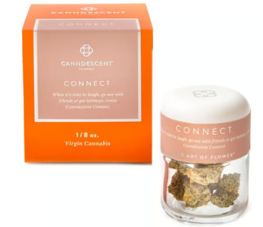 Canndescent: Green Flash
