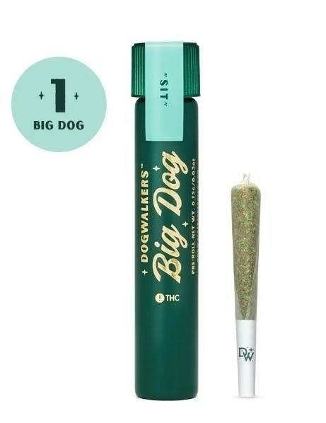 Mystic Mint | Joint | 0.75g by Dogwalkers