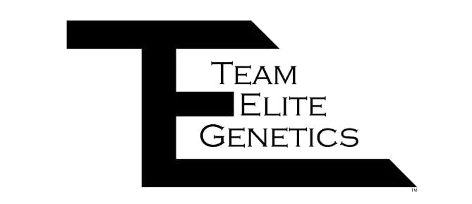 Team Elite Genetics: Pineapple Milkshake