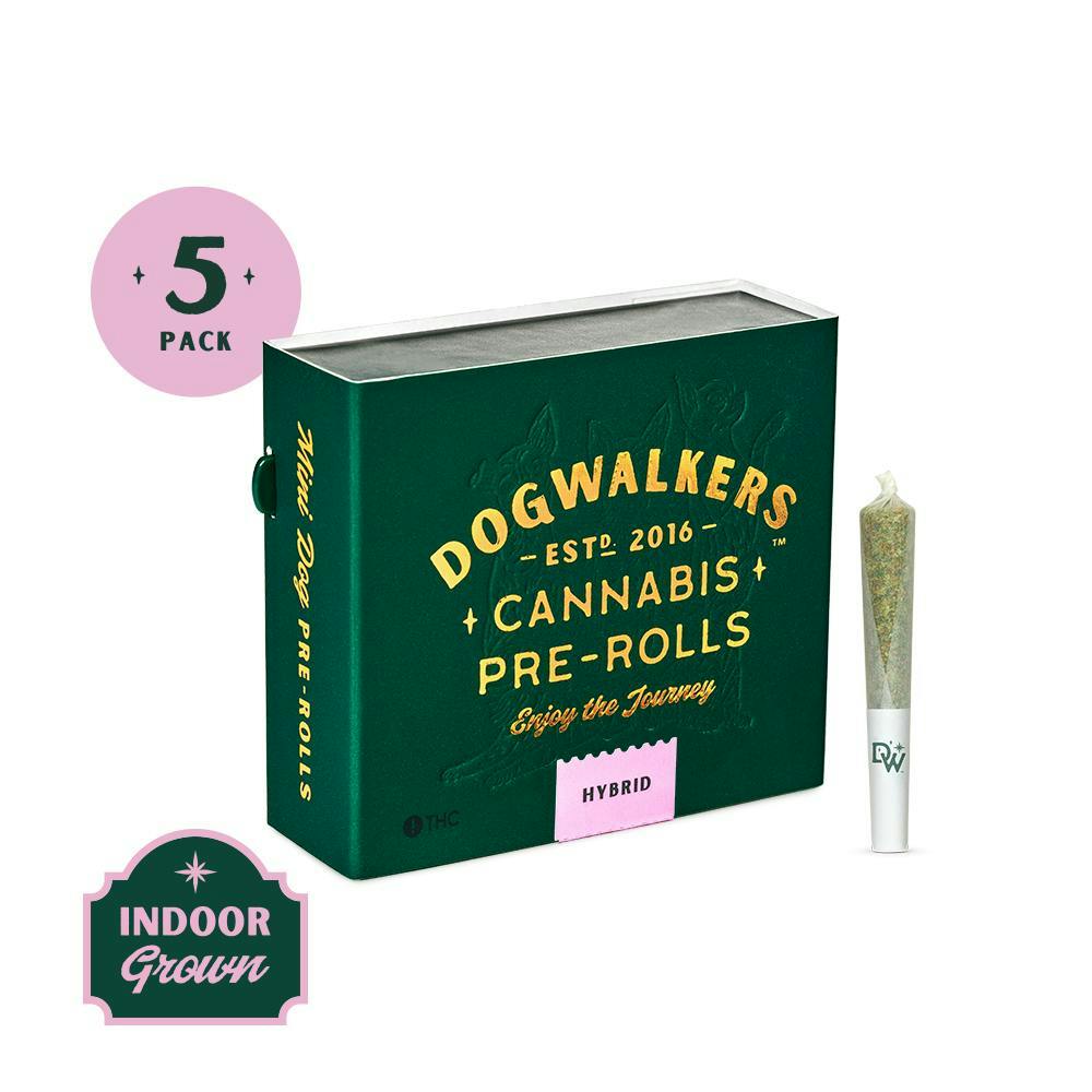 Runtz | Mini Joints | 0.35g each | 5pk by Dogwalkers
