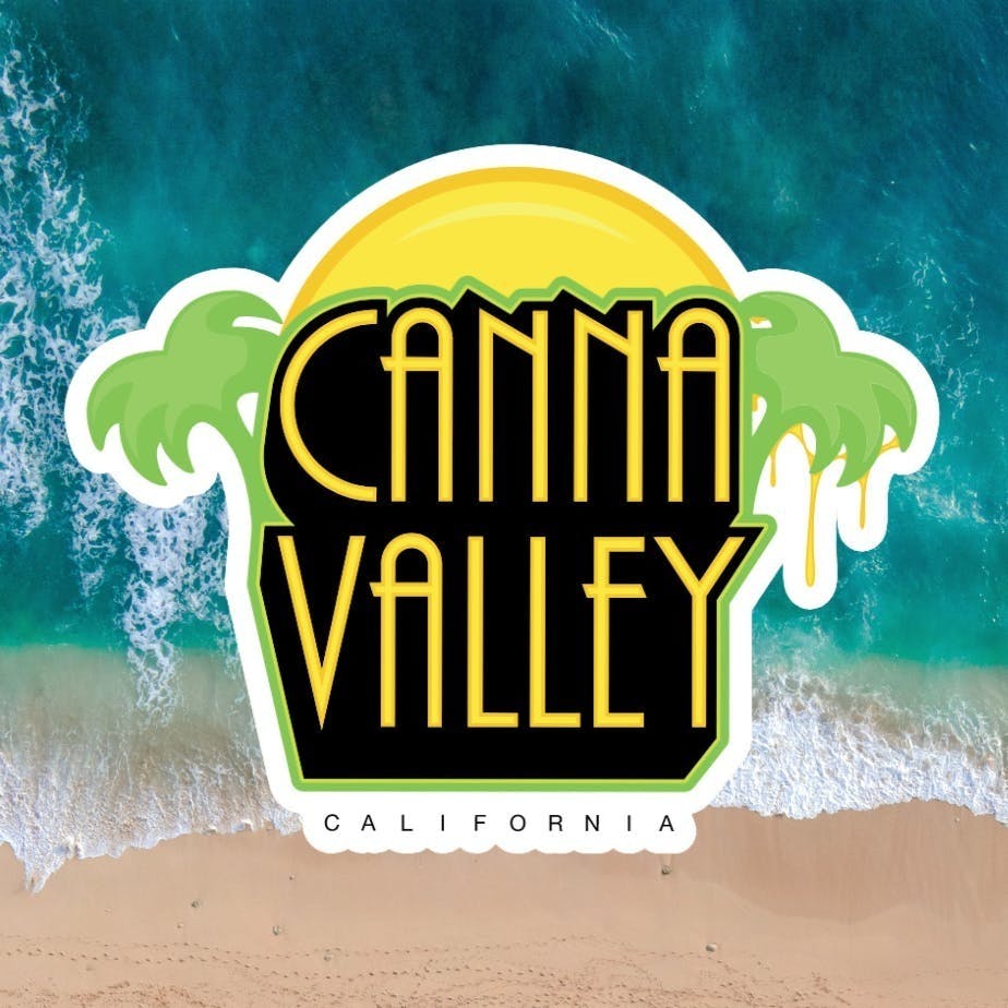 Canna Valley: Apricot Jelly X Mimosa