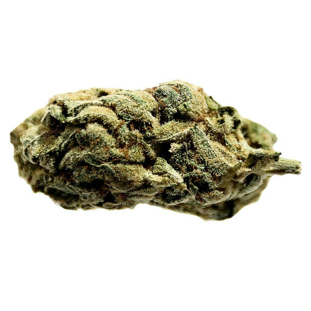 Amnesia Haze | Flower | 14g
