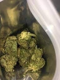 GG#4 | Flower | 14g