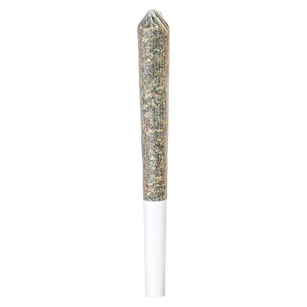 Ghost Train Haze | Infused Mini | 0.5g