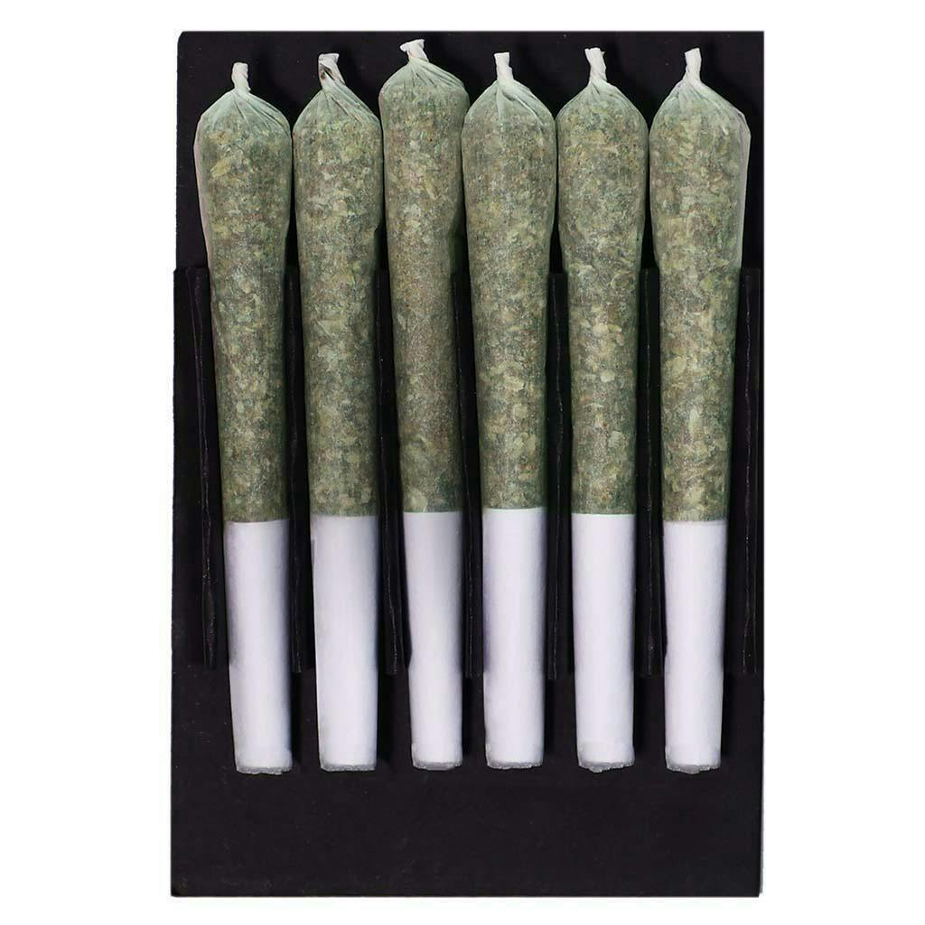 Ghost Train Haze | Mini Joints | 0.5g each | 6pk