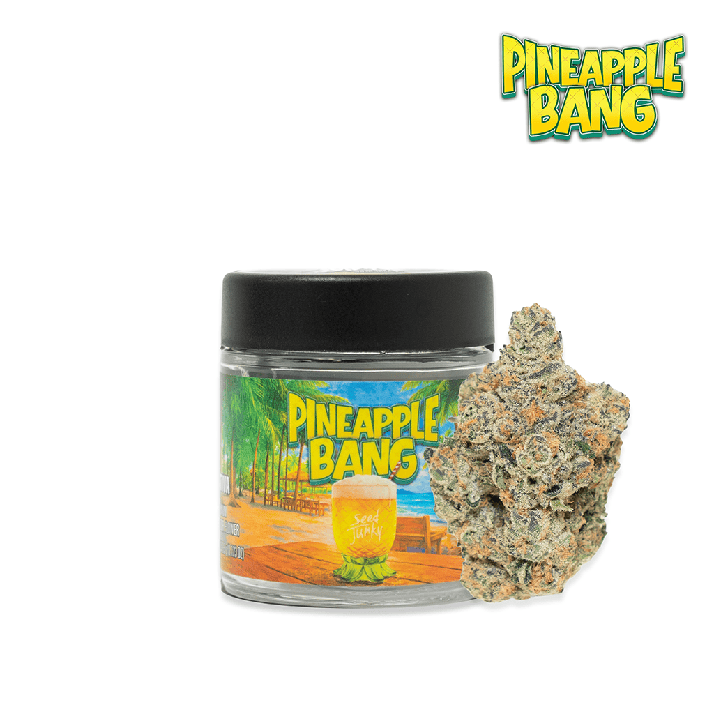 SEED JUNKY — Pineapple Bang 5