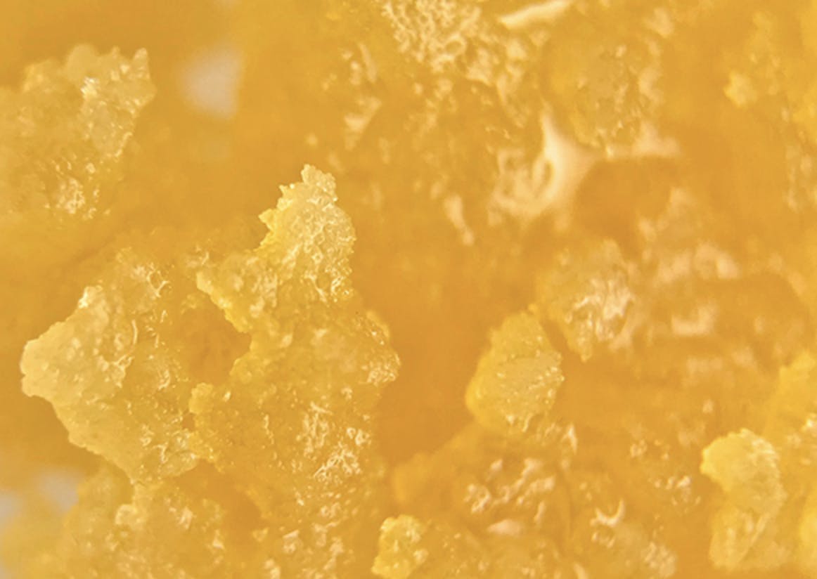 Gold Crown x LegaSea Farms | Trop Cherry | Sugar | 1g by Gold Crown
