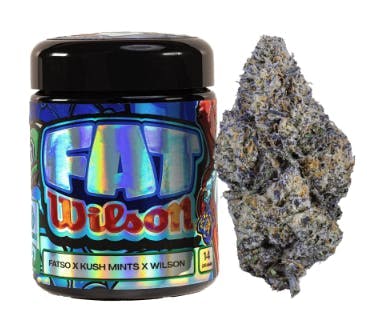 Fat Wilson | Big Buds | 7g by Freshy Fine