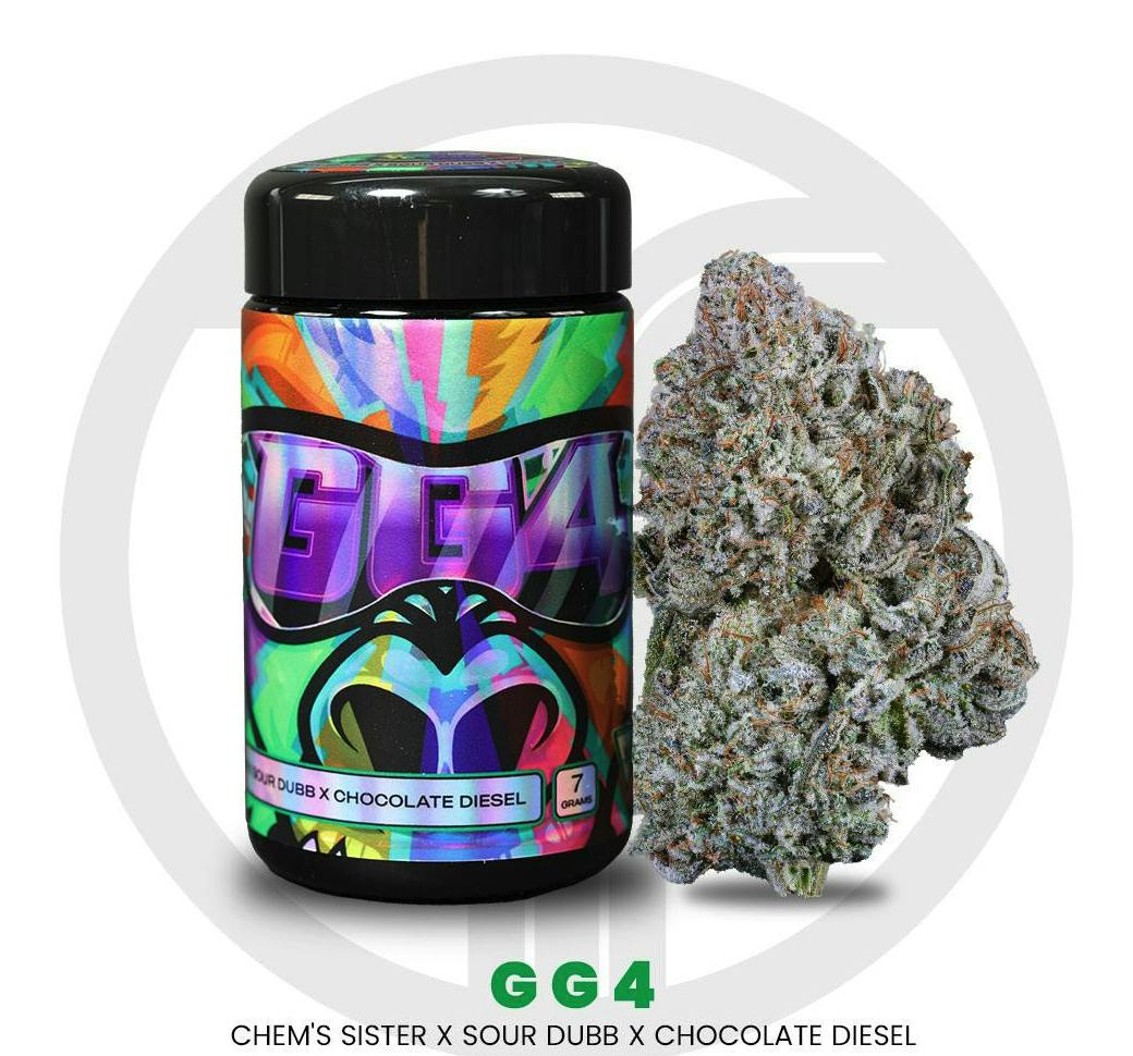 GG4 | Big Buds | 3.5g by Freshy Fine
