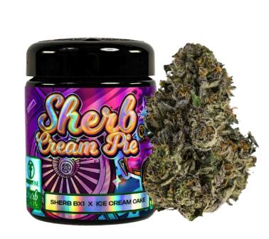 Sherb Cream Pie | Big Buds | 3.5g by Freshy Fine