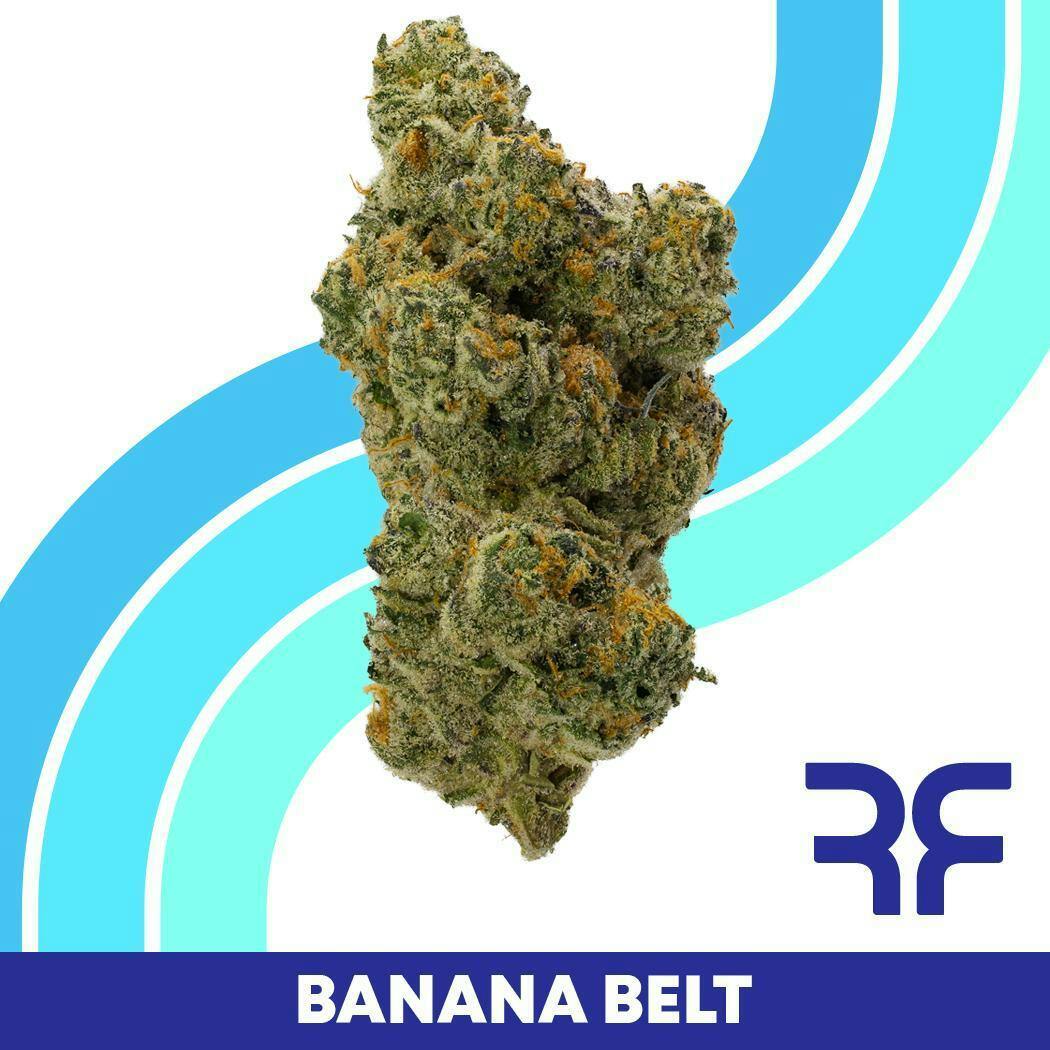 Banana Belt Whole Flower at Curaleaf Dispensary Pensacola