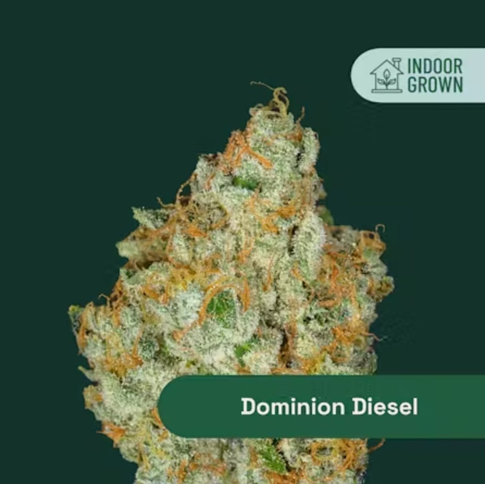 Dominion Diesel | Flower | 14g by The Botanist