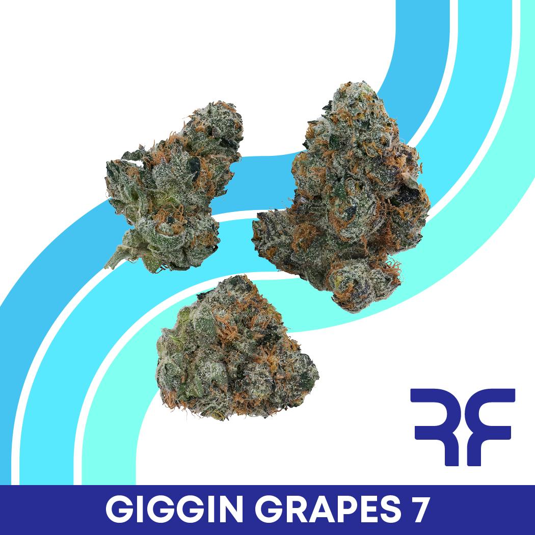 Giggin Grapes #7 Small Buds