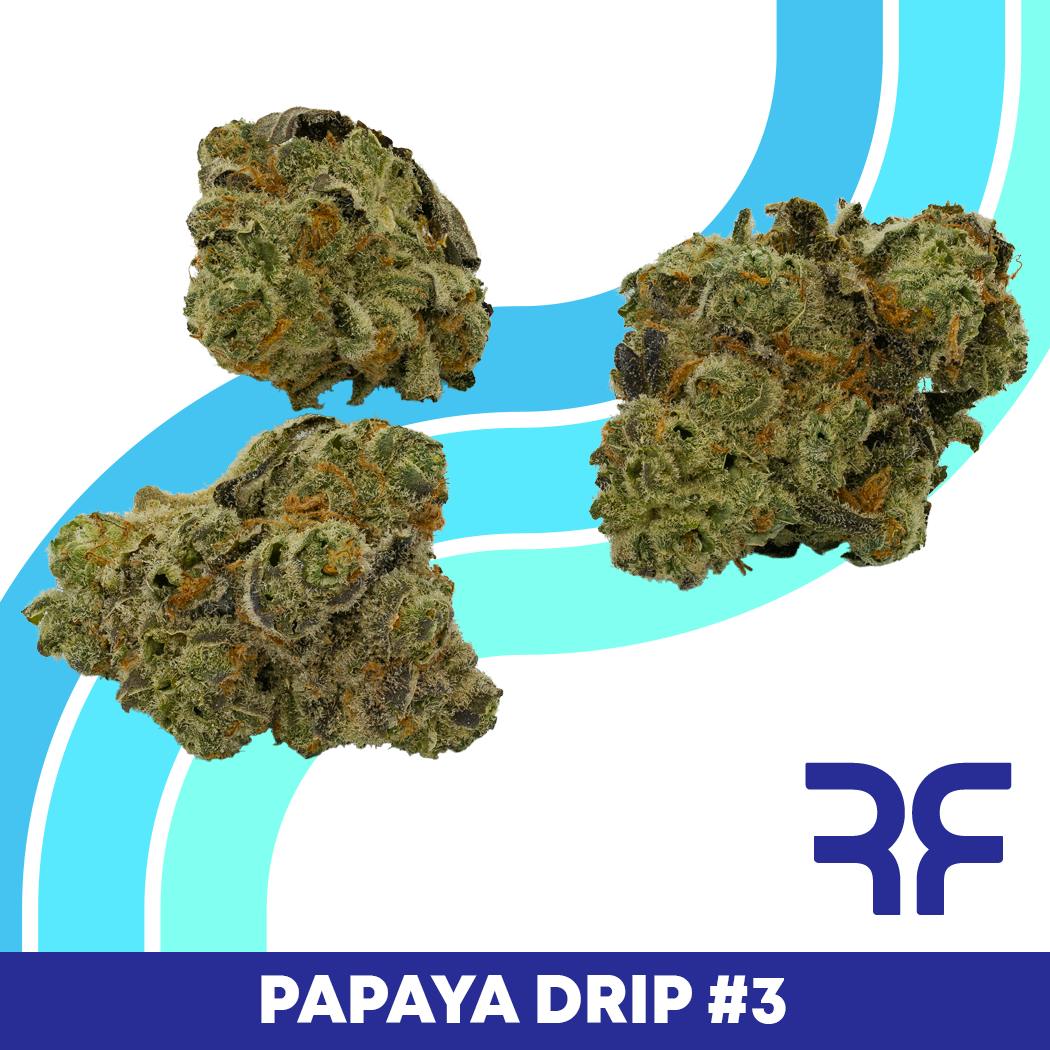 Papaya Drip #3 Small Buds by REEF Cannabis