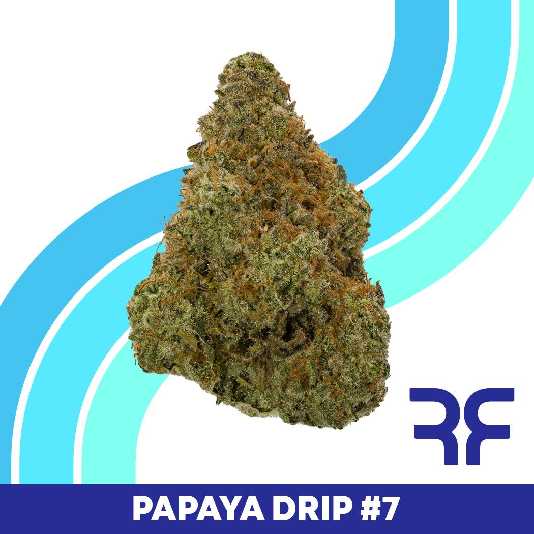 Papaya Drip #7 Whole Flower by REEF Cannabis