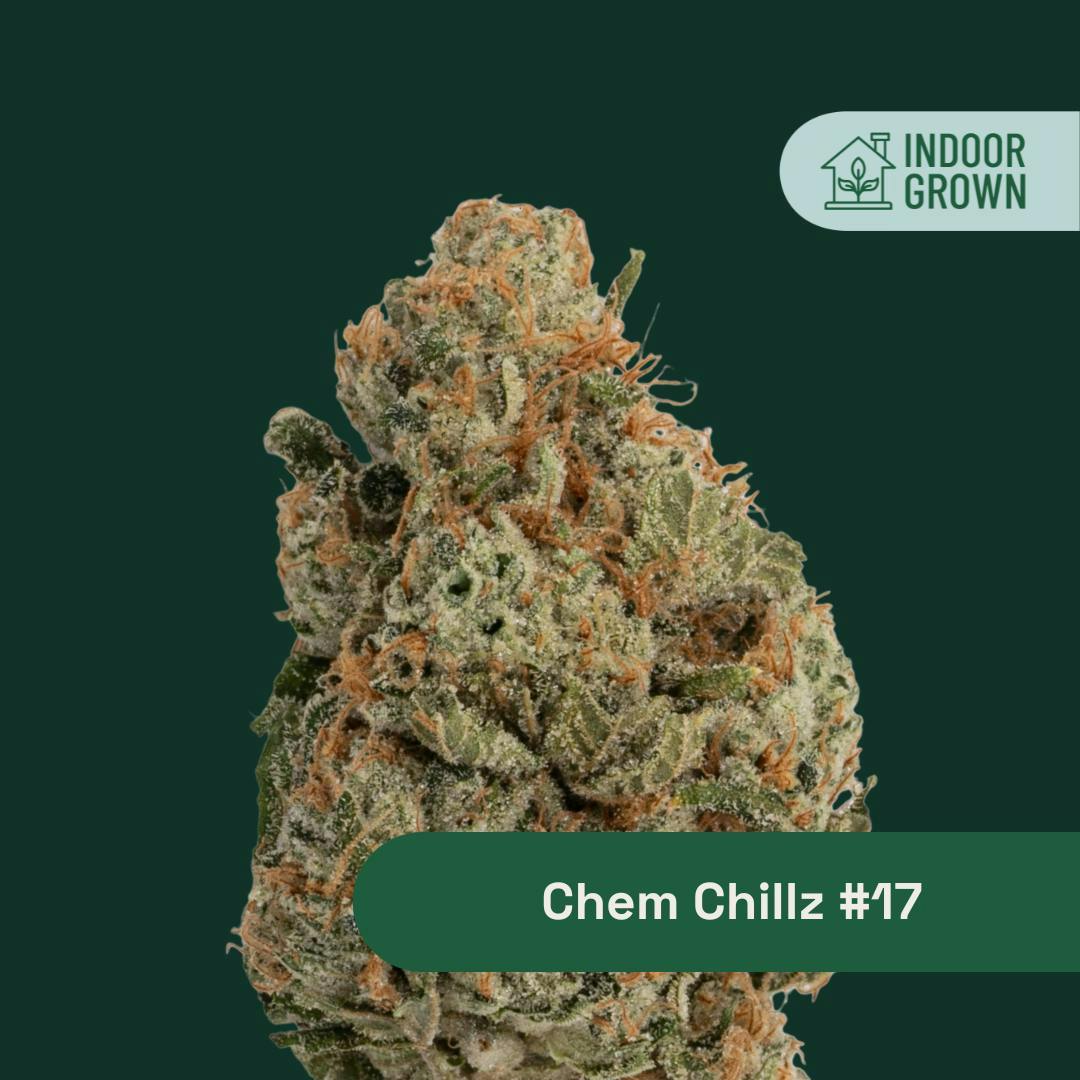GMO Cookies x Chillz | Flower | 14g by The Botanist