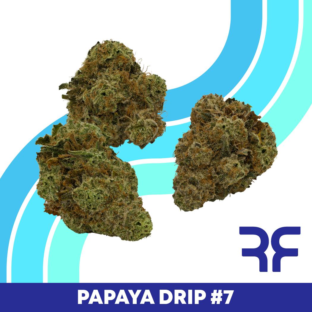 Papaya Drip #7 Small Buds by REEF Cannabis