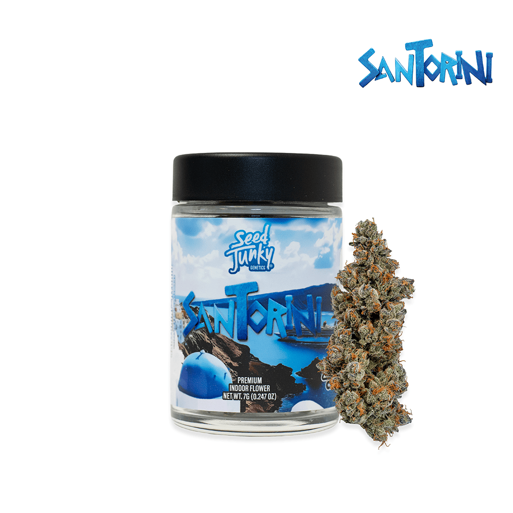 Santorini | Big Buds | 7g